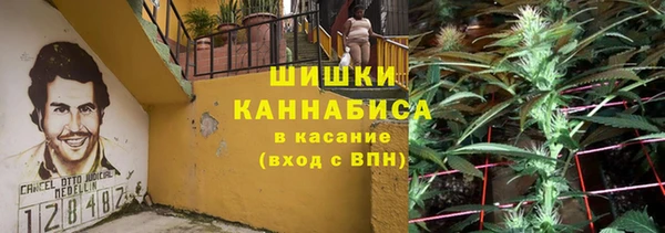 первитин Коряжма