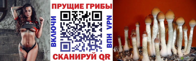 Галлюциногенные грибы ЛСД  Купить  Нея 